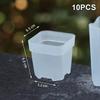 Self Watering Transparent Nursery Pots Mini Planters for  Seeds Herb Growing Home or Classroom