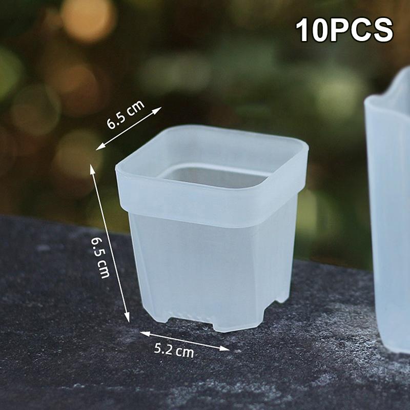 Self Watering Transparent Nursery Pots Mini Planters for Seeds Herb Growing Home or Classroom