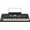 KORG Entertainer Keyboard EK-50 with Built-in Speaker, Ideal for Home Practice, Outdoor Performance, and Cafe Live Performances, Auto-Accompaniment, I