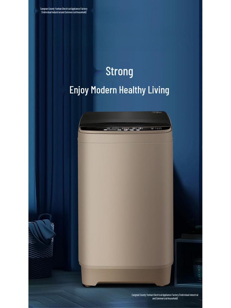 10kg Fully Automatic Washer-Dryer with Compact Pulsator for Households and Rentals