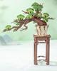 ROBOTIME 3D Wooden Puzzle, Evergreen Pine Bonsai, Assembly Kit, DIY Craft, Plant Collection, Architectural Model, Japanese-Style Interior,