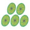 5PCS Phone Signal Stickers PCB Green Signal Antenna Booster Stickers for Mountaineering Climbing