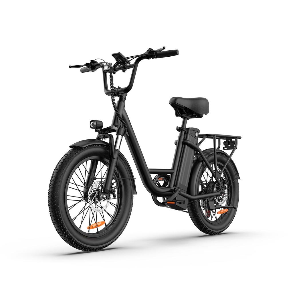 URLIFE-E20 20"x3" Fat Tire Electric Bike 250W Motor 48V 13AH Battery 80-100KM Range Ideal for Commute & Adventure