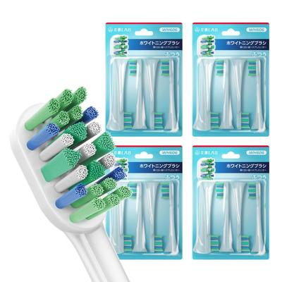 Compatible Lab Replacement Brush Set for Philips Sonicare Electric Toothbrush 16 (WH606 Whitening, Brushes)