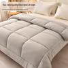 Class A Antibacterial Winter Fiber Quilt
