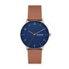 Watch RIIS SKW6885 Brown [Skagen] Men's
