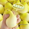 Soft Rebound Fruit Squeeze Toy - Cute Cartoon Stress Reliever & Ornament