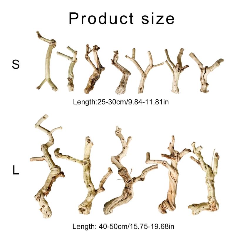 Wood Reptiles Cave Driftwood Natural Wood Aesthetic Easy Attachment Trunk Cave Shelter for Amphibians
