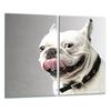 Tagliere in Vetro 2X 30X52 Cane