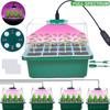Full Spectrum LED Grow Lights with Seedling Trays Plant Seed Starter Trays with Humidity Dome Greenhouse Germination Propagation