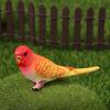 1 Peça Papagaio Periquito Simulado Ornamento de Paisagem em Miniatura Modelo Animal Estatueta de Gramado Pássaro Artificial Adereços de Fotografia