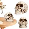 Halloween Skeleton Figure Resin Skull Shaped Figurine Life Size for Holiday Party Decor