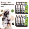 10Pcs 20ML Ginger Shampoo, Anti Hair Loss Gentle Men Women Baldness Treatment Hair Care Natural Ginger Plant Extract Hair Regrowth Shampoo