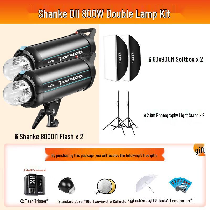 Godox DII Series Studio Flash Kit