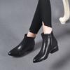 Fashion Women Solid Color Thick Sole Square Heels Zipper Short Booties Plush Pointed Toe Shoes Dress Boots for Women Low Heel