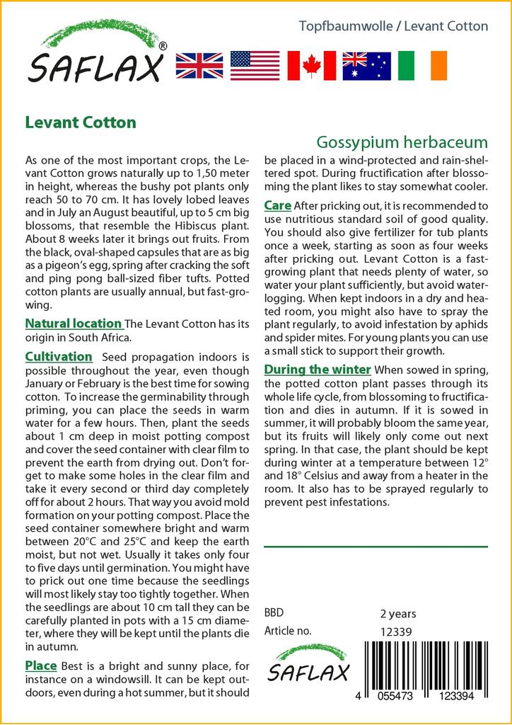 SAFLAX Levant Bavlna - 12 semen - Gossypium herbaceum
