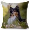 Shetland Sheepdog Cute Pet Animal Dog Printed Pillowcase Decor Cushion Cover for Sofa Home Car Polyester Pillow Case 45*45cm