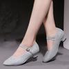 Women Professional Glitter Soft Fur/Rubber Sole Out/Indoor Closed Toe Modern/ Samba/ Tango/ Ballroom/ Salsa/ Latin Dance Shoes