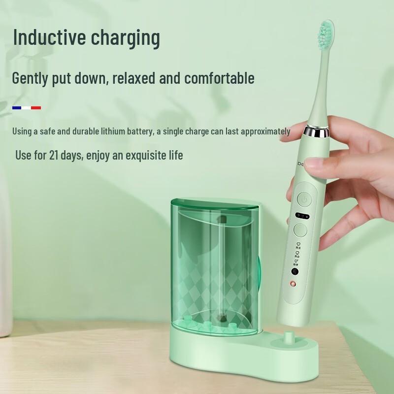 Desleep Sonic Electric Toothbrush
