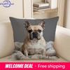 1Pc Adorable Pet-Themed 2D Flat Printing Pillowcases Sofa Cushion Cover Home Bedroom Room Decoration