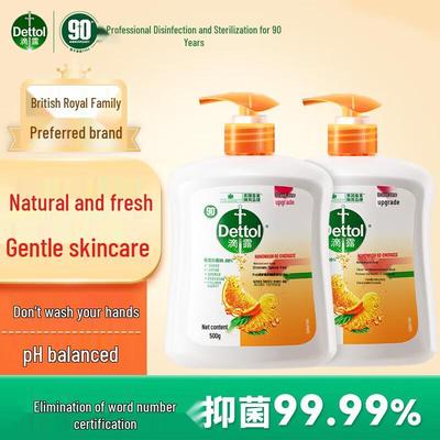 Antiseptic Hand Wash for Kids & Family