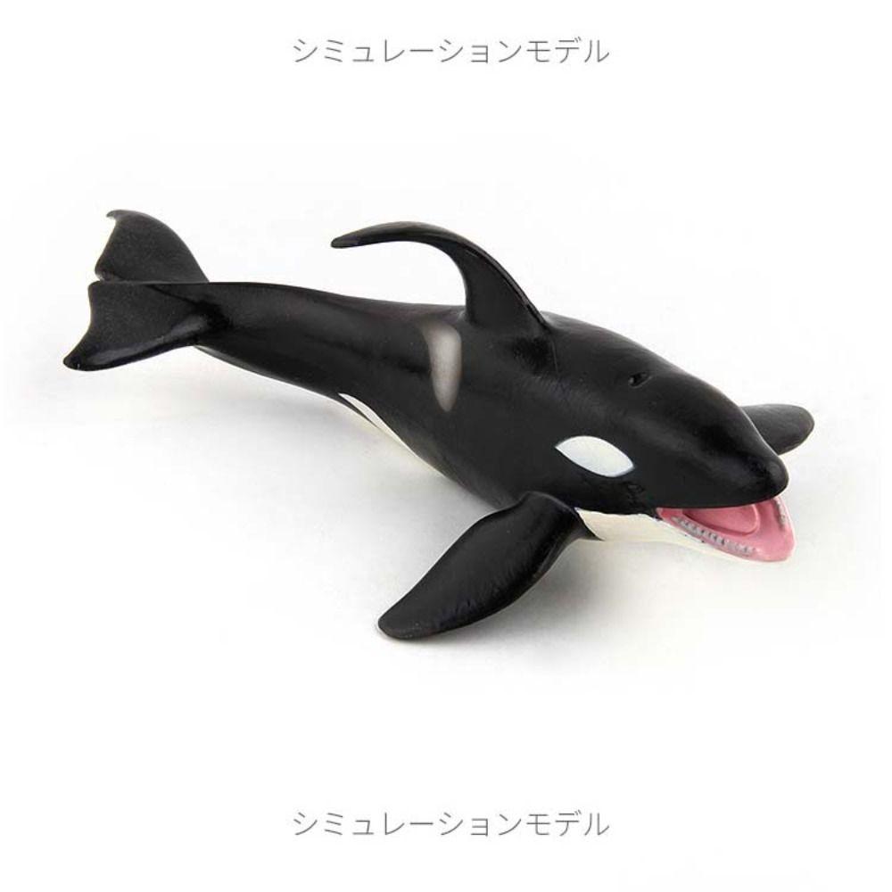 Sperm Whale Marine Animal Model Simulation Sea Life Figure Collection Whale Figurines  Home Decor