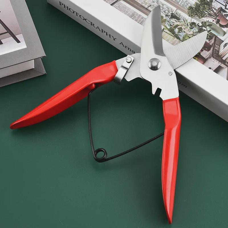 Stainless Steel Pruning Shears with Rubber Handle for Branches and Fruit Picking