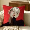 Singer Singer Somi Cushion Cover Pillow Cover Nordic Minimalist Throw Doublesided Print Cushion Case For Sofa Bedroom Decor