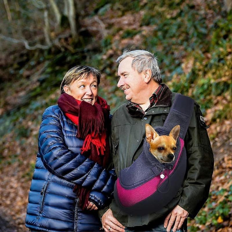 Pet Bag, Adjustable Pet Carrier Bag for Dog, Breathable Mesh Messenger Bag for Dog Cat, Carrying Backpack Suitable for Subway, Walking Travel, HikingM