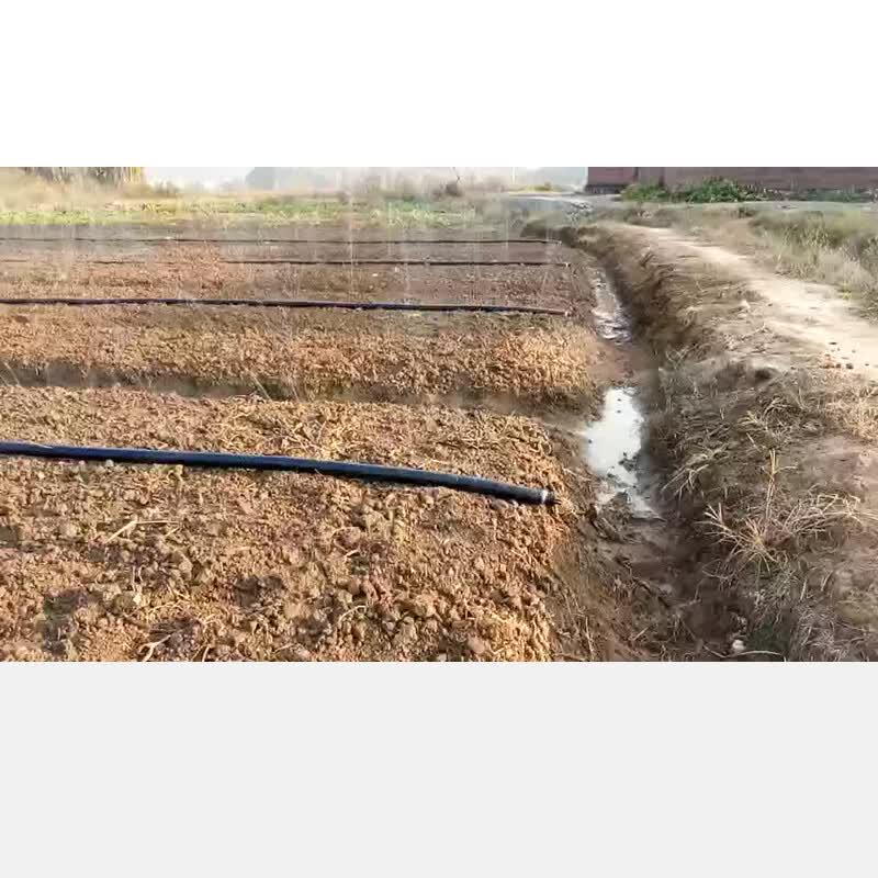 Moufou Thickened Multi-Hole Micro-Spray Irrigation Belt