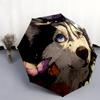 Husky pattern, automatic folding umbrella, portable and foldable design, 8 ribs, a Christmas or birthday gift.