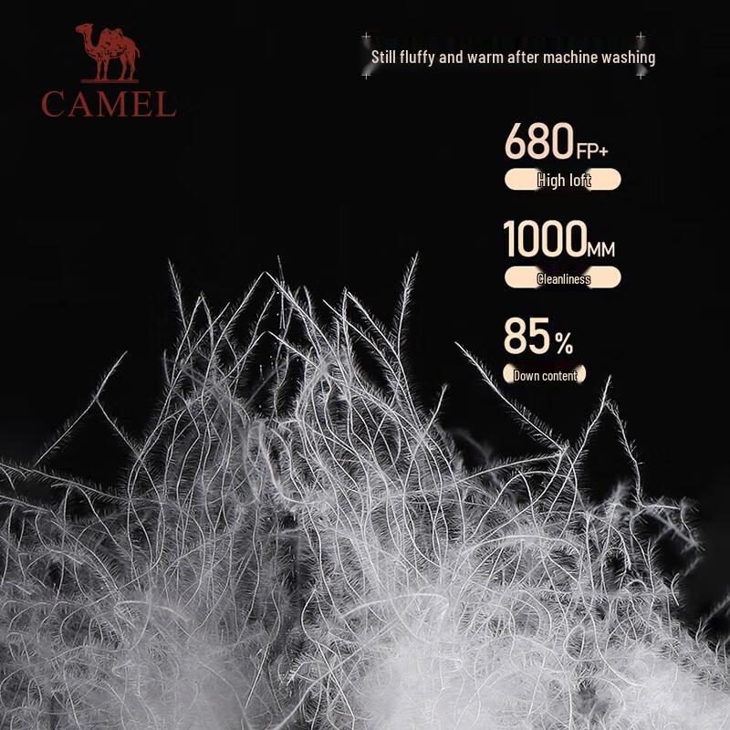 Camel Men's Water-Repellent Duck Down Hooded Jacket