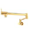 G1/2in Thread Brass Wall Mounted Foldable Kitchen Faucet Single Cold Single Hole Sink Tap with 2