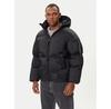 Winter Jacket Alpha Industries 148130, Black, Standard Fit