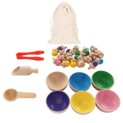 Wooden Colorful Sorting Toys Acorns Counting Toy Colorful Sorting Counting Acorns for Kindergarten Preschool Children