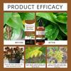 Liquid Rooting Booster 60ml Plant Root Stimulator Concentrate for Propagation Seedlings Cuttings Houseplants Pothos Monstera
