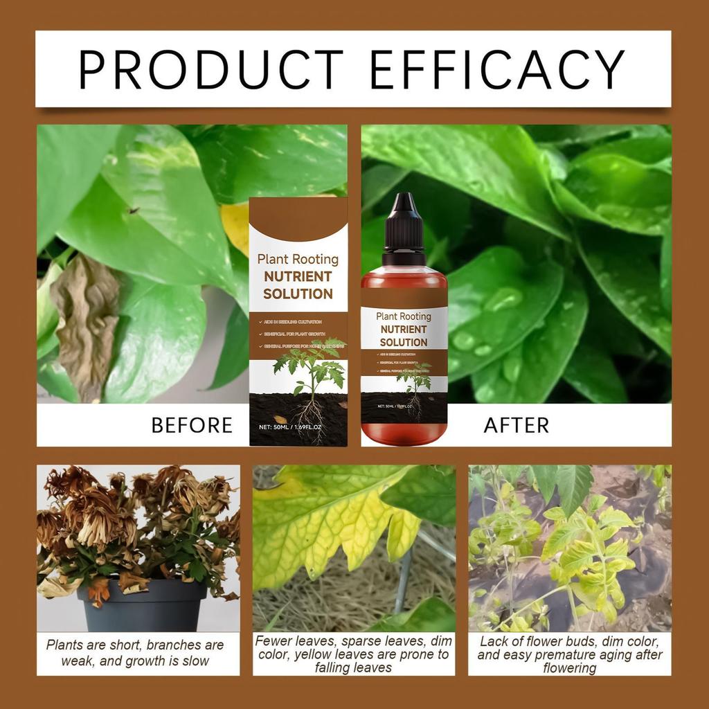Liquid Rooting Booster 60ml Plant Root Stimulator Concentrate for Propagation Seedlings Cuttings Houseplants Pothos Monstera