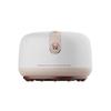 Red Bianstone Gua Sha & Cupping Massage Tool CN plug (adapter included)