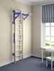 Gymnastic ladder Eco 1 colour (Woodgym)