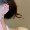 18K Gold-Plated Silver Geometric Starburst Zircon Earrings - Elegant, High-End Fashion for Women