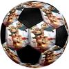 Ballon de football Alvin et les Chipmunks Taille 5, Convient pour les matchs en intérieur et en extérieur, un cadeau adapté à tous.