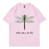 Perché Sono Così Figo Meme Divertente Libellula Maglietta Moda Tendenza High Street Manica Corta T-shirt Unisex Unisex Casual Maglietta Oversize
