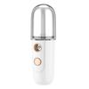 Nano Spray Eye Massage Instrument Facial Sprayer Humidifier USB Nebulizer Face Steamer Moisturizing Beauty Health Skin Care Tool