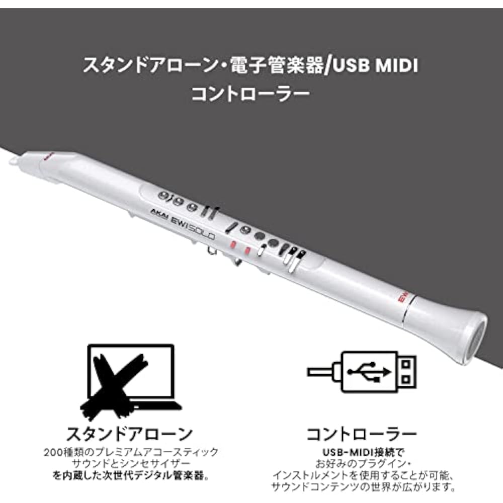 Akai Professional EWI Solo Wind Synthesizer with Built-in Electronic Wind Instrument Speaker, Rec...