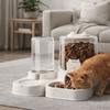 Spill Proof Automatic Pet Feeder Transparent Pet Water Fountain  Daily Feeding