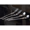 VANRA 5in 4-Piece Flatware Set - Silver Stainless Steel - 2 Forks and 2 Spoons - Salad, Teaspoon, Cocktail, Coffee, Serving, Appetizer