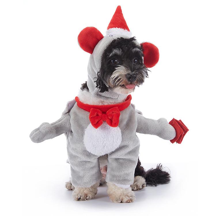 Christmas Pet Costume: Bat, Pirate, Clown, Delivery Outfit for Dogs