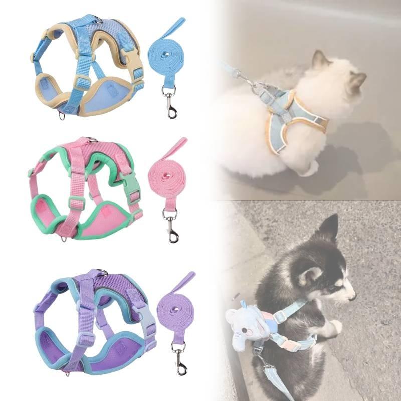 Klassische Colorblock-Haustierleine mit doppellagigem Netzstoff für Katzen und zum Verschenken