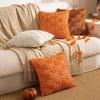 Neues Kürbis Plüsch Schamkissen Bestickter Kissenbezug Herbst Halloween Wohnzimmer Sofa Dekokissen Kissen