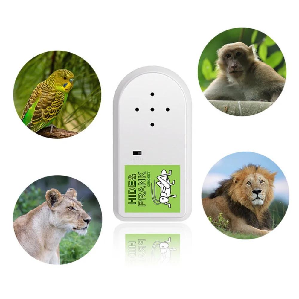 Noise Generator Cricket Sound Generator Prank Prop Cricket Simulation Cricket Prank Sound Joke Glitter Cheer Tools Buzzer Button